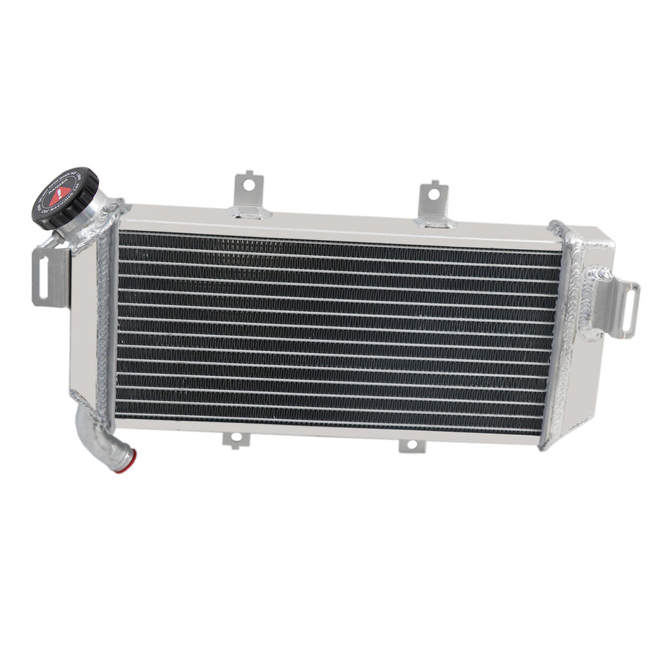 AlloyWorks 2Row Radiator Aluminium Fit Kawasaki ER-6N;ER-6F 650A /650B 39061-0066 2006-2008