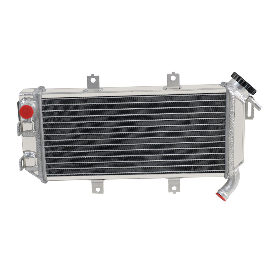 AlloyWorks 2Row Radiator Aluminium Fit Kawasaki ER-6N;ER-6F 650A /650B 39061-0066 2006-2008